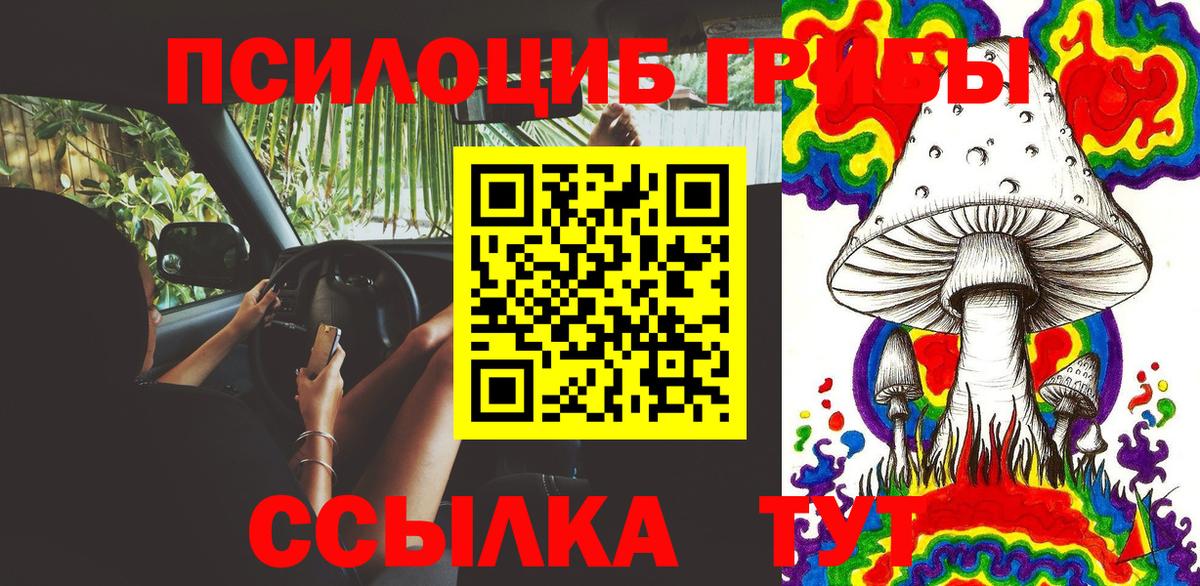 Назарово  Псилоцибиновые грибы Cubensis  Вход с VPN 